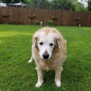 Meet your Posher, Jacqueline